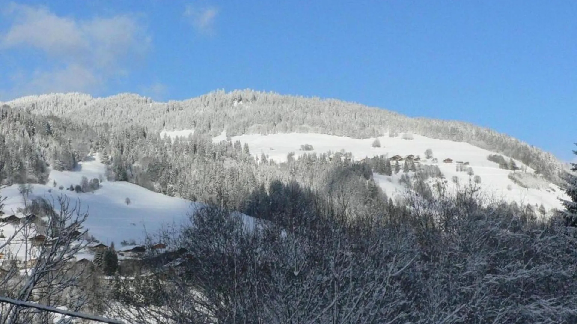 Stylish Apartment In Megeve Praz-sur-Arly