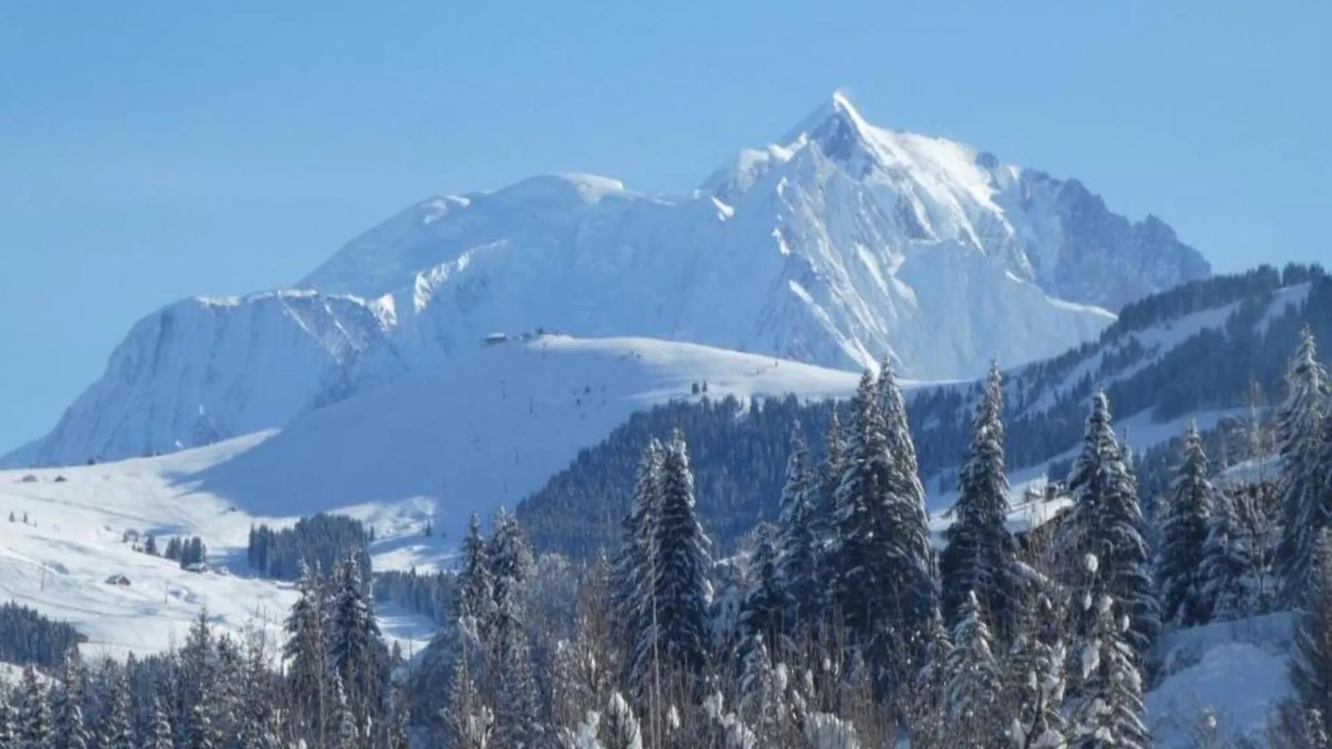 Stylish Apartment In Megeve Praz-sur-Arly