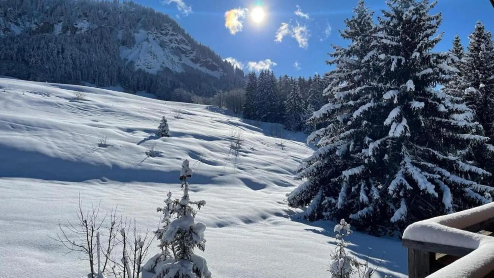 Stylish Apartment In Megeve Praz-sur-Arly